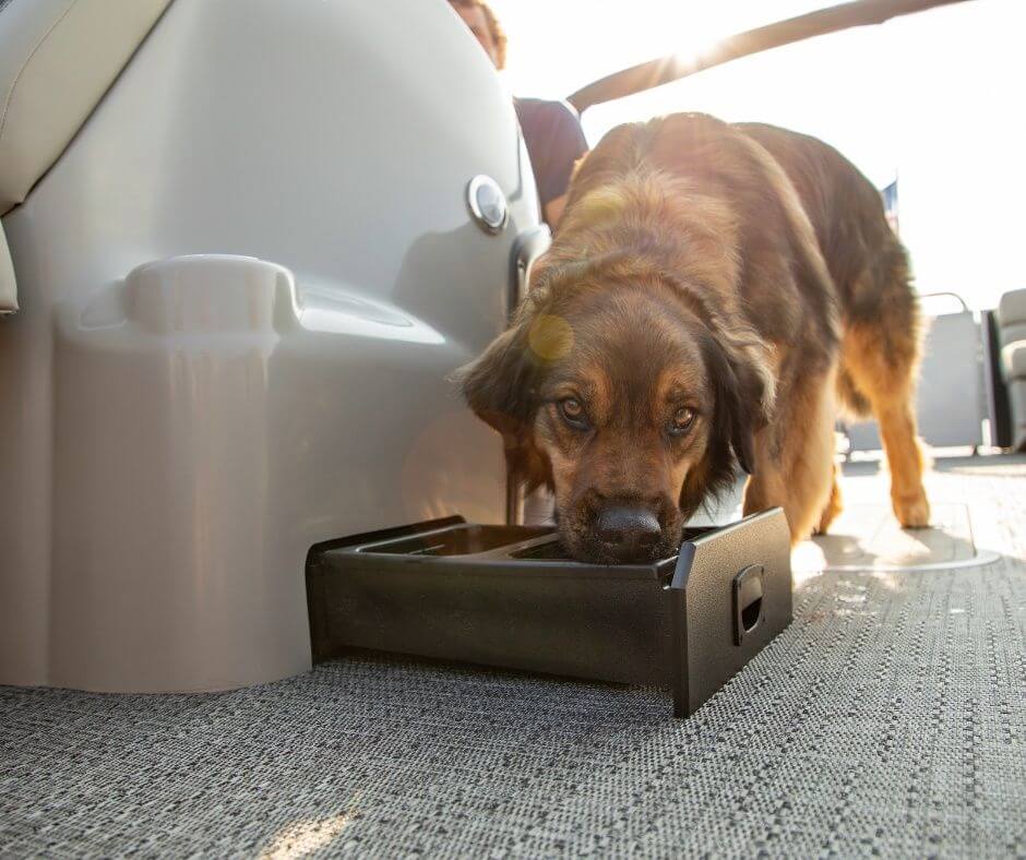 Hero Background Image